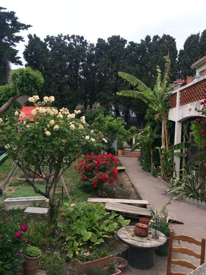 佩皮尼昂Haras Des Arcades别墅 外观 照片
