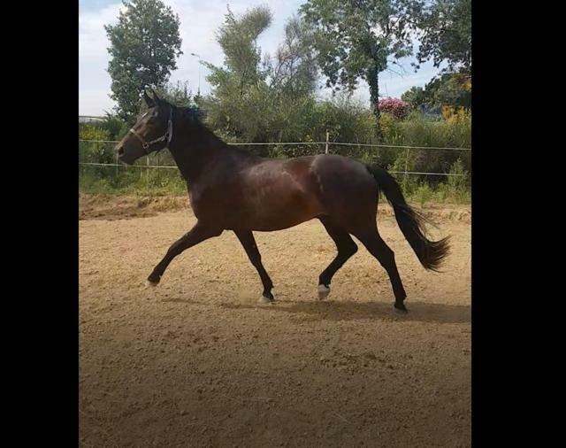 佩皮尼昂Haras Des Arcades别墅 外观 照片
